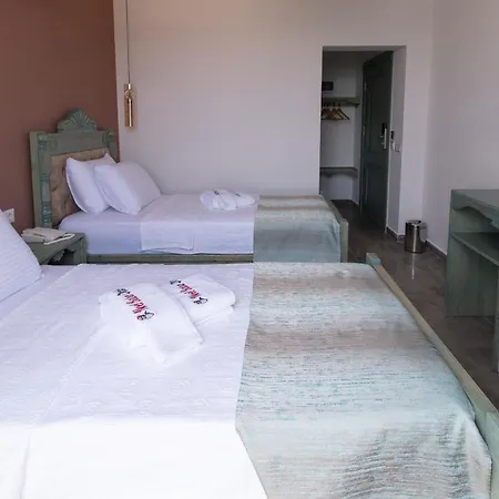 Hotel Noel Baba